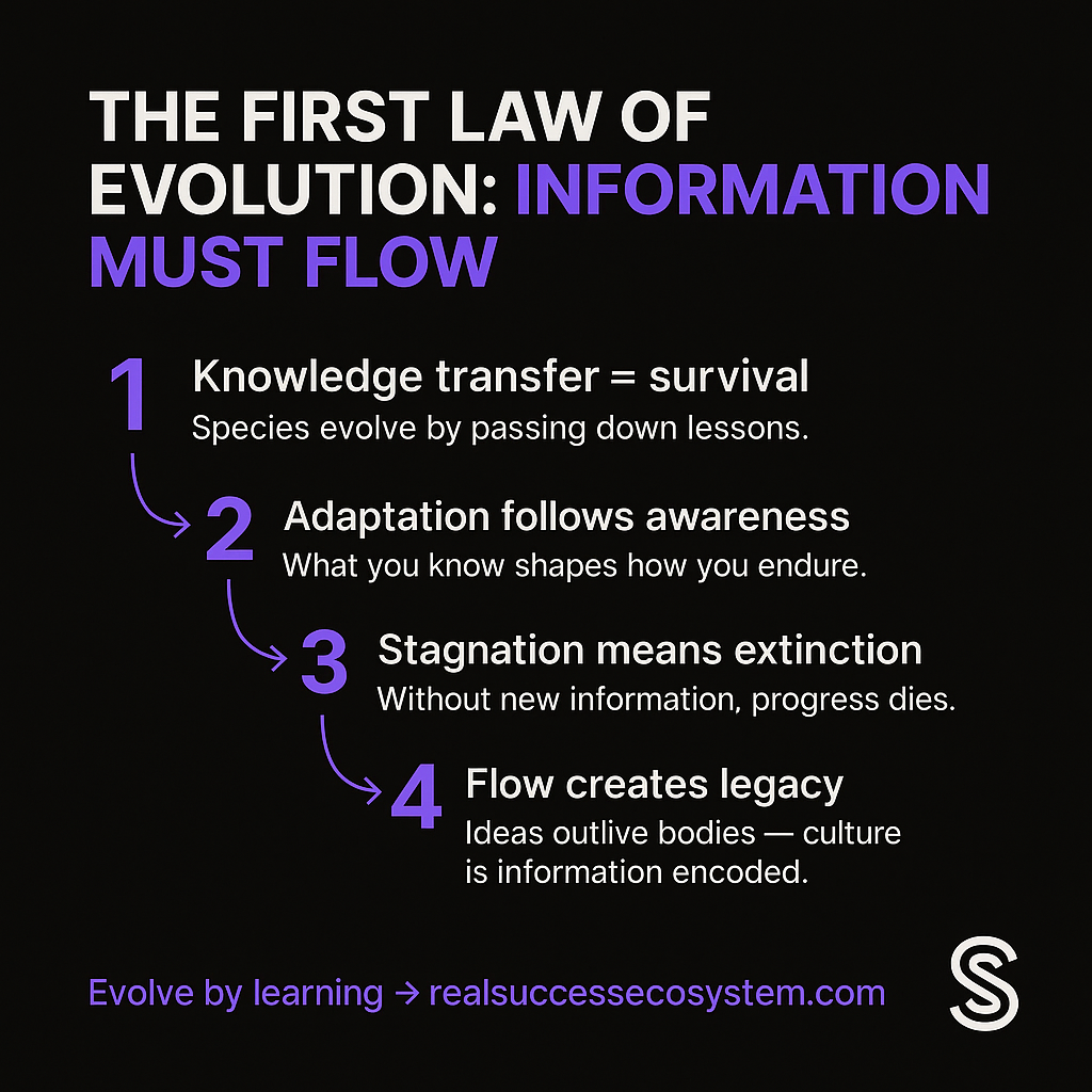 The First Law of Evolution infographic — information must flow for survival and success | Real Success Ecosystem